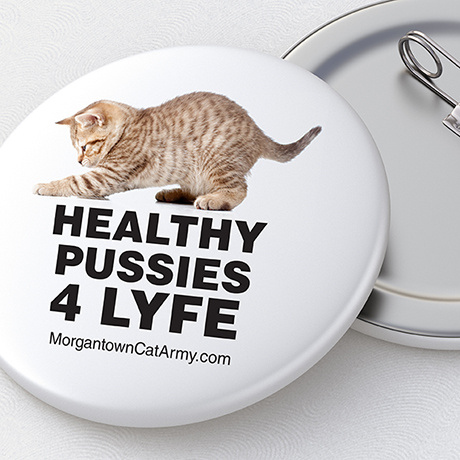 MLB® T-Shirt Club Website